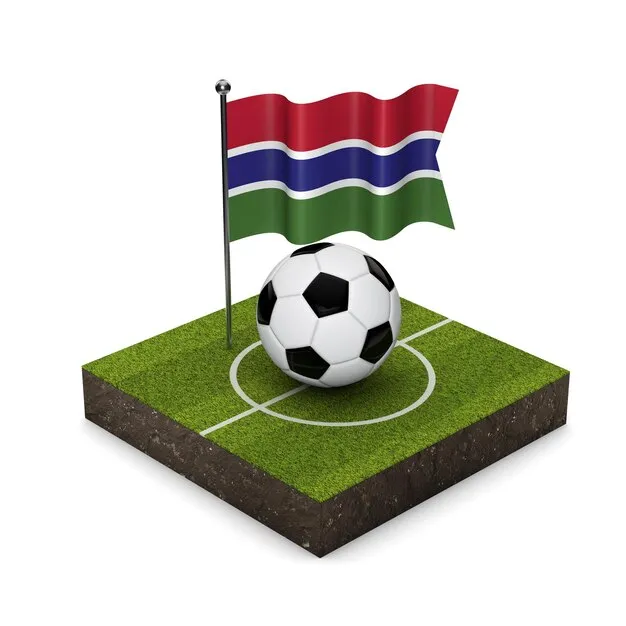 Download Kaiyun Sports App